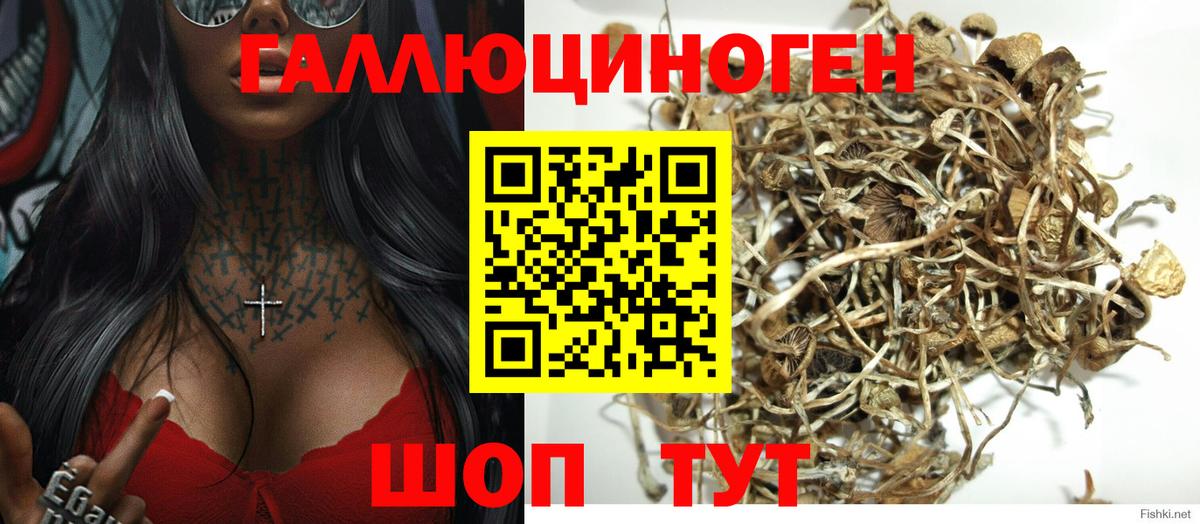 Ишим  Псилоцибиновые грибы GOLDEN TEACHER  где найти наркотики  Вход с VPN 