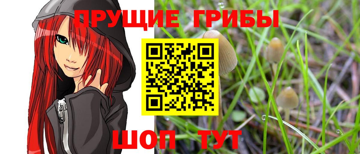 Псилоцибиновые грибы ЛСД Ишим
